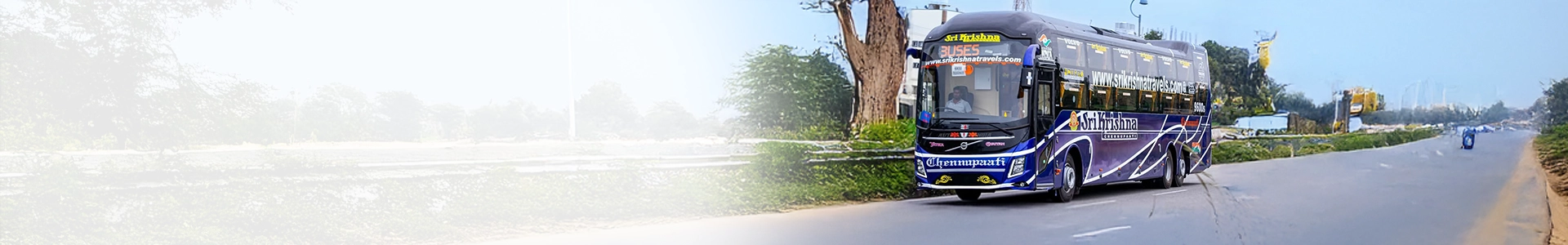 Seo Hero Banner