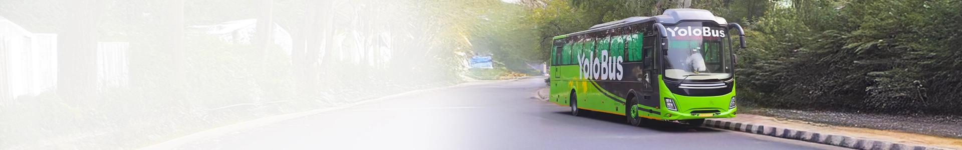 Seo Hero Banner