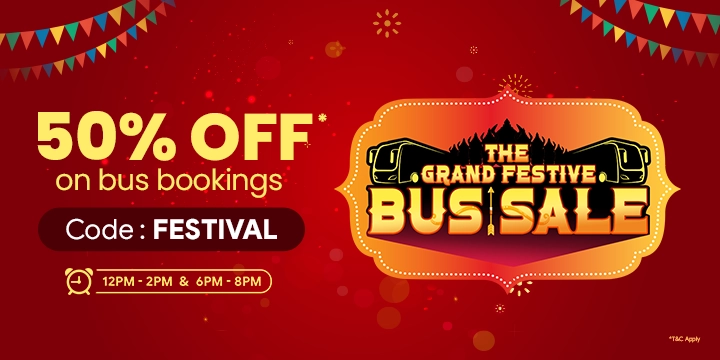 The Grand Festive Bus Sale – 50% Off
